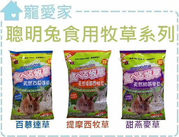 ☆寵愛家☆可超取☆聰明兔食用牧草系列-425g，果園百慕達/提摩西/甜燕麥/苜蓿草