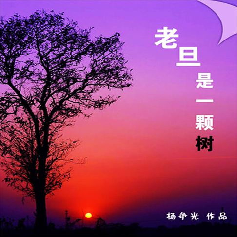 【有聲書】老旦是一棵树 0