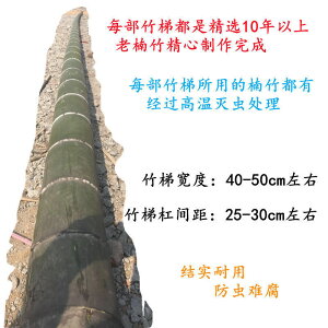 新款便攜式竹梯子工地幼兒園家用梯 4米5米6米3米2米梯子直銷