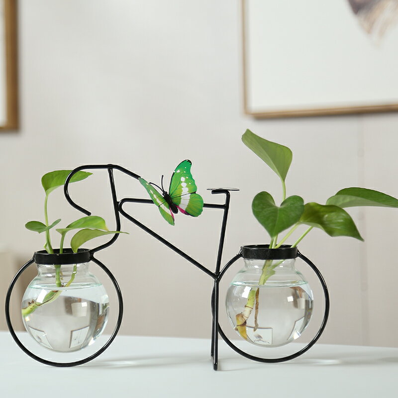 創意水培植物玻璃透明花瓶插花水養花盆鐵藝器皿桌面客廳擺件【不二雜貨】