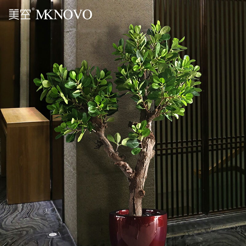 美空模擬熊貓榕假樹盆栽擺件藤葉植物裝飾永生樹枝天然實木模擬樹