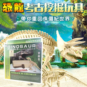 恐龍化石 恐龍蛋 考古挖掘(一般/夜光) DIY恐龍 恐龍骨頭 模型 侏儸紀公園 科學玩具【塔克】
