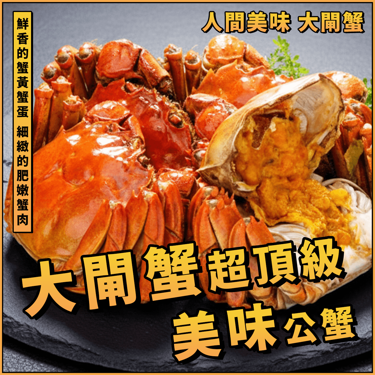 【天天來海鮮】活體大閘蟹/超級限量5A大閘蟹/人間美味大閘蟹 / 鮮活大閘蟹 / 公蟹快速出貨 / 規格A~AAAAA