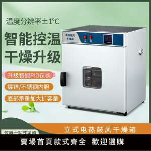 電熱恒溫鼓風干燥箱實驗室烤箱立式小型工業烘箱藥中藥材烘干機