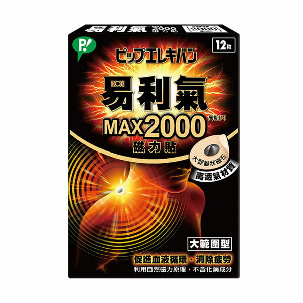 易利氣  MAX 2000磁力貼 12顆