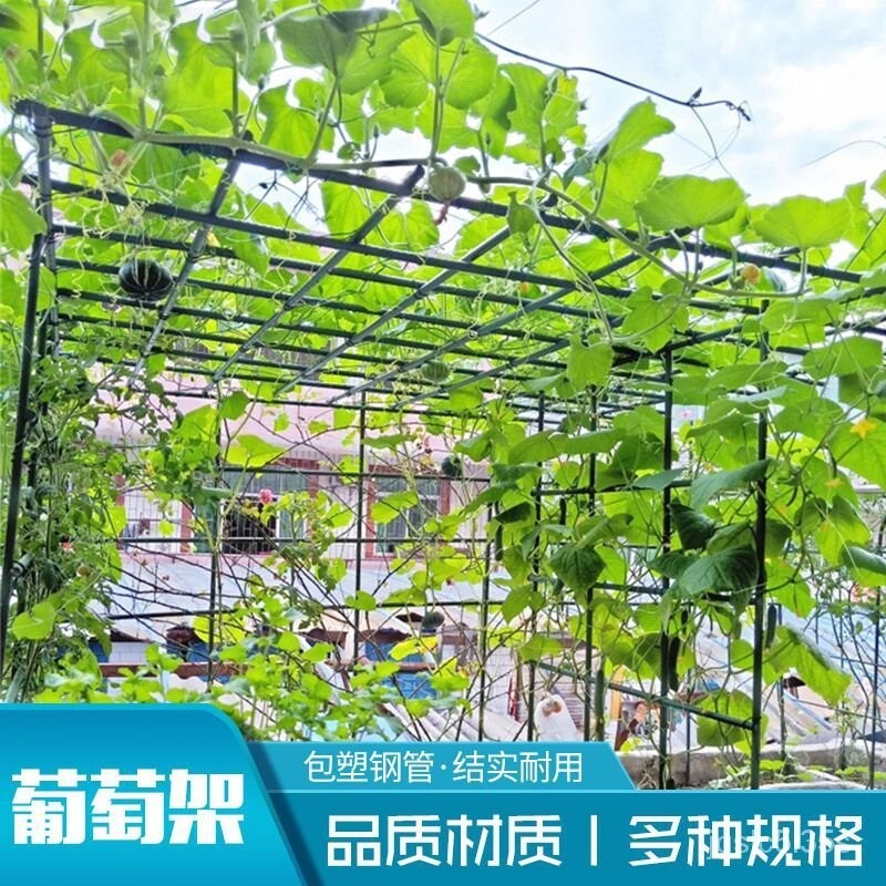 宅配 戶外庭院葡萄架組裝支架百香果苦瓜攀爬架鐵藝棚架陽臺植物爬藤架