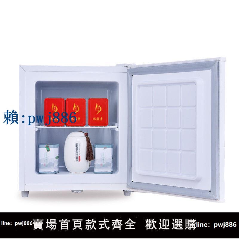 【可打統編 超低價】新力40L全冷凍冰箱冰淇淋櫃小型家用冷櫃茶葉冰櫃母乳速凍櫃冰櫃