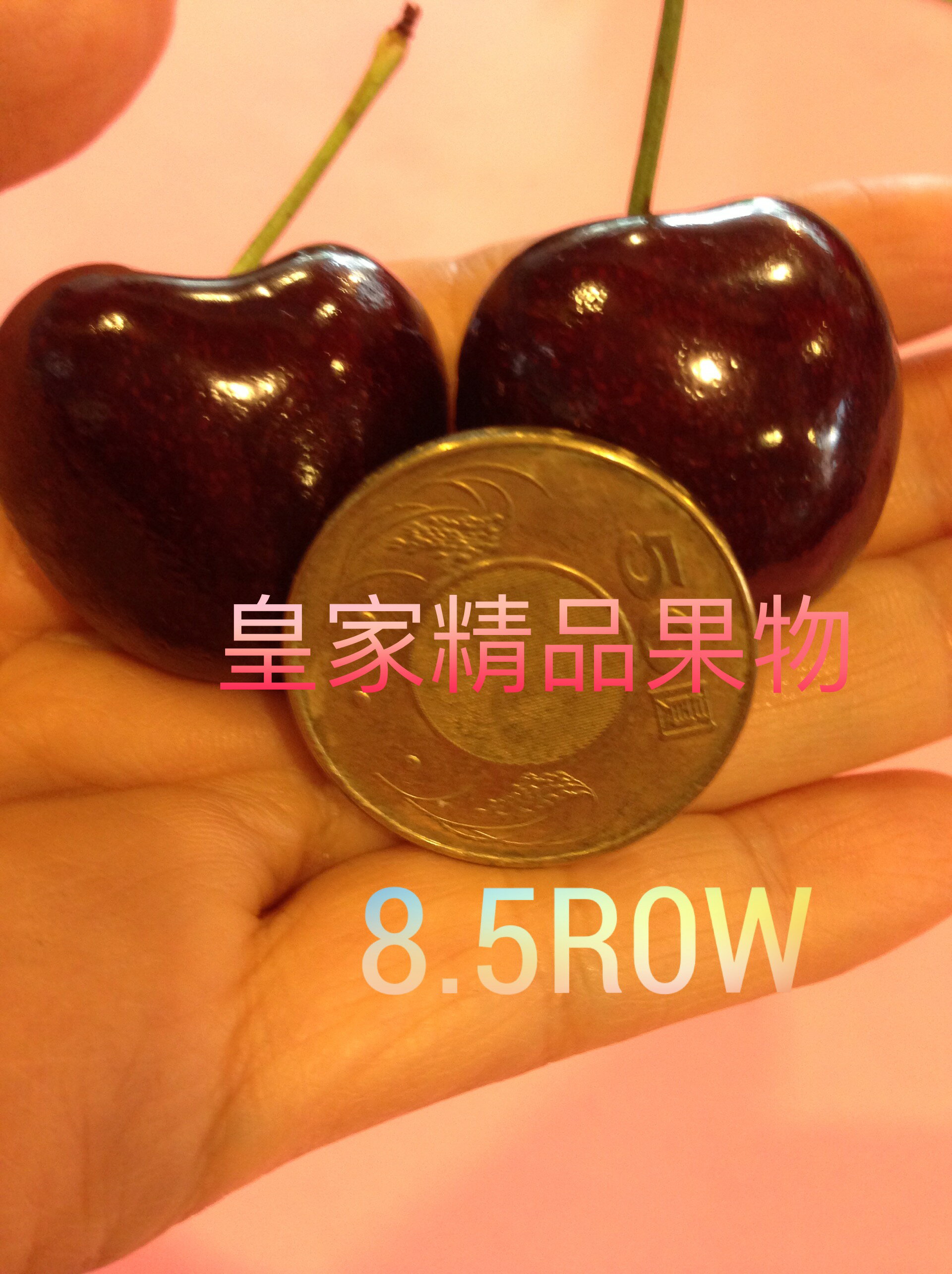 超大櫻桃8.5ROW〈2kg〉送禮多盒優惠【皇家果物】低溫免運