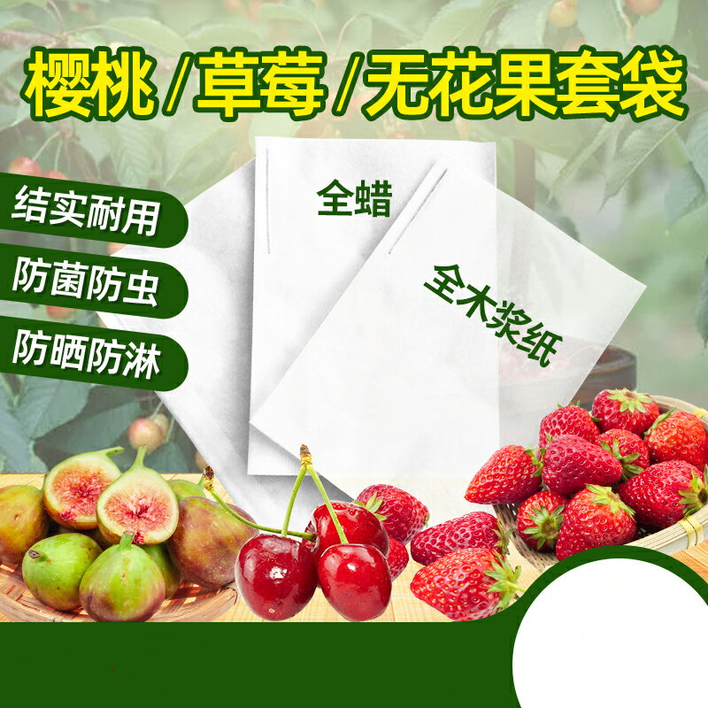 防蟲袋 水果套袋 草莓套袋專用袋櫻桃袋梨初期套袋專用套袋小果袋防水防蟲