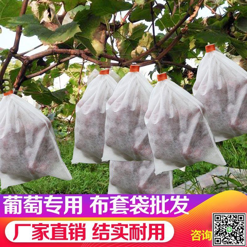 無紡布葡萄套袋水果果實防蟲防水防雨桃子梨子羊角蜜防鳥果袋套袋-UM.有米家居