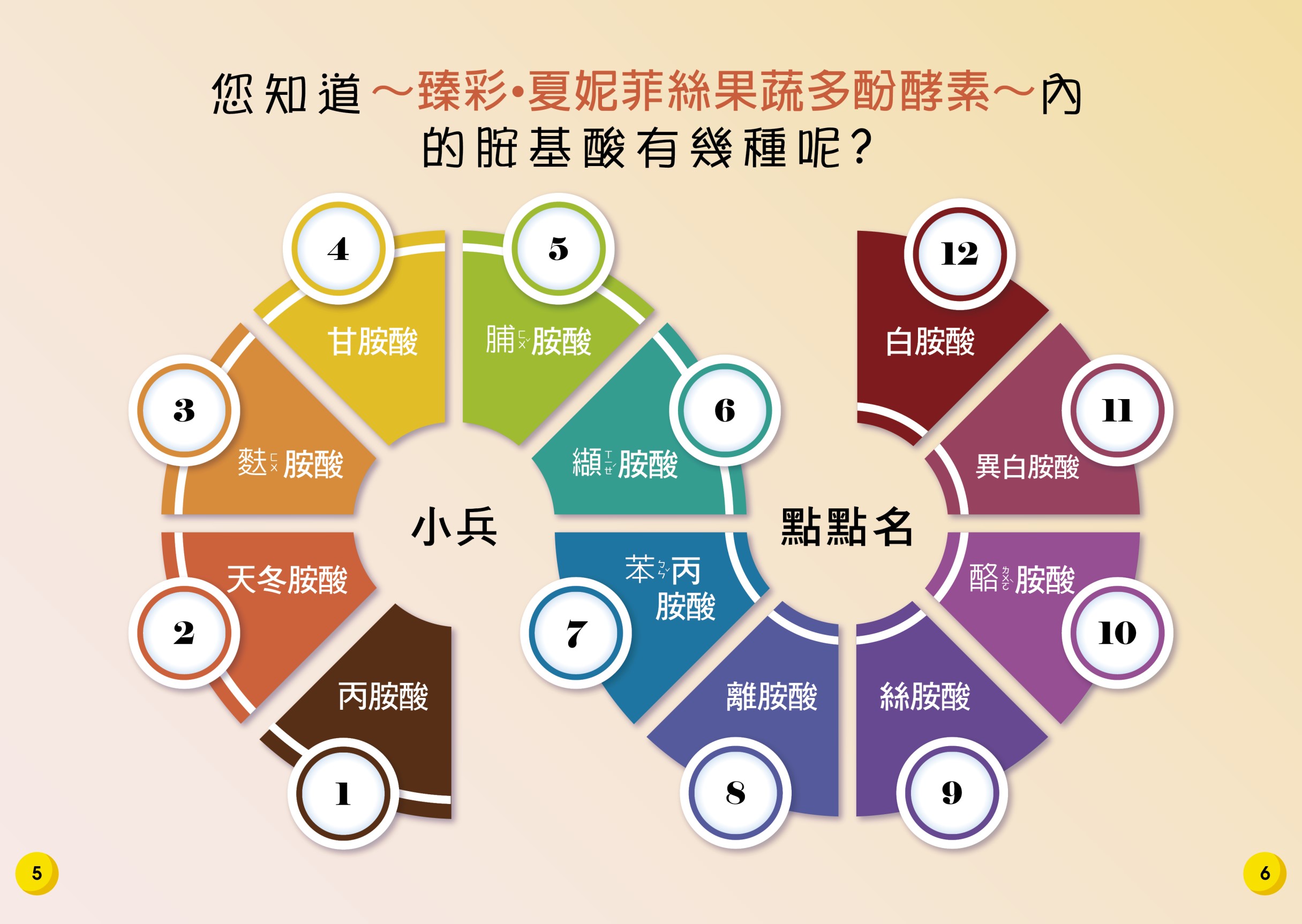 夏妮菲絲果蔬多酚酵素隨行包10入/盒 2