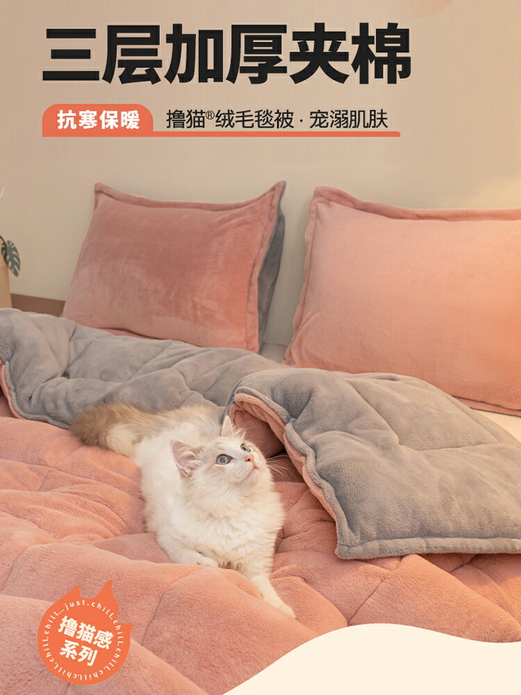擼貓三層加厚牛奶絨毛毯秋冬季珊瑚絨床單人法蘭絨鋪床上用蓋被子