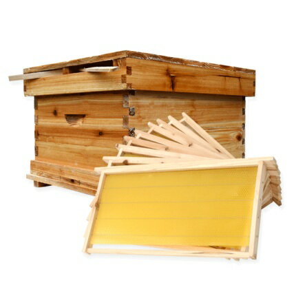 蜂箱全套中蜂蜂具蜜蜂箱養蜂工具全套養蜂箱防曬隔熱防雨巢框套餐 台灣樂天市場 Line購物
