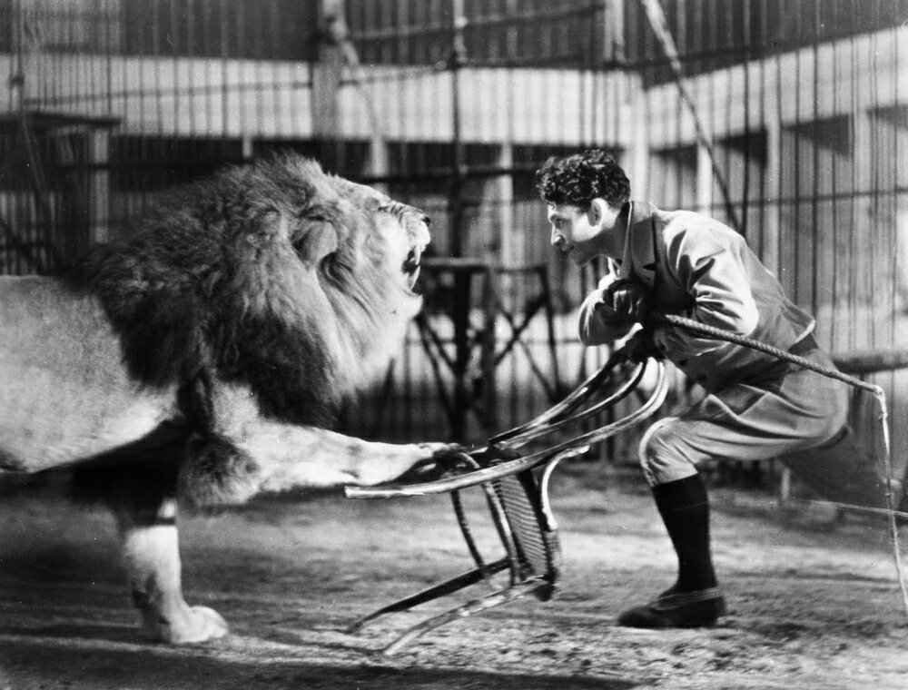 Posterazzi: Lion Tamer 1930S Nthe American Animal Tamer Clyde Beatty ...