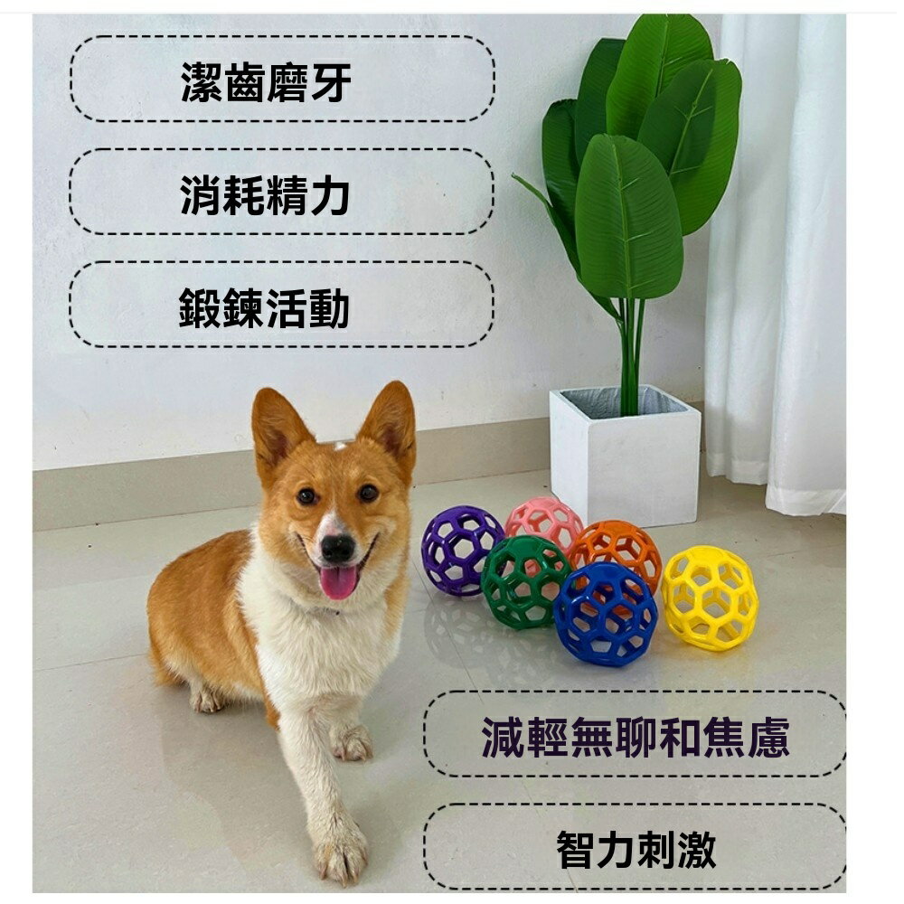 美麗大街 【114040821】兩入 寵物玩具球鏤空網球鈴鐺環保塑膠耐咬彈性橡膠球寵 物用品 2