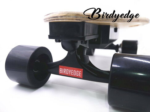 BIRDYEDGE SMALL  可拆卸 戰士原木色配色 電動滑板   單驅動可換胎皮 1