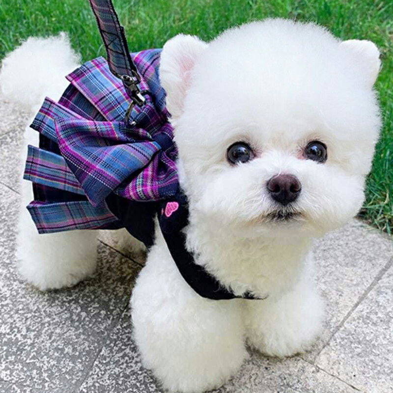 小型犬寵物狗狗衣服貓咪服裝jk裙牽引繩泰迪博美比熊春夏秋冬季款