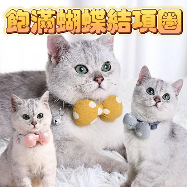 『臺灣x現貨秒出』飽滿蝴蝶結寵物項圈 貓咪項圈 貓項圈 狗項圈 小狗項圈 頸部裝飾