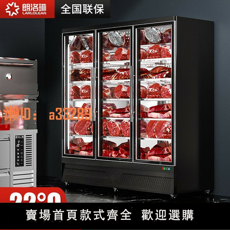 【可開發票】朗洛琳變頻冷凍櫃商用食品肉類立式冰櫃速凍櫃低溫冰箱牛肉展示櫃