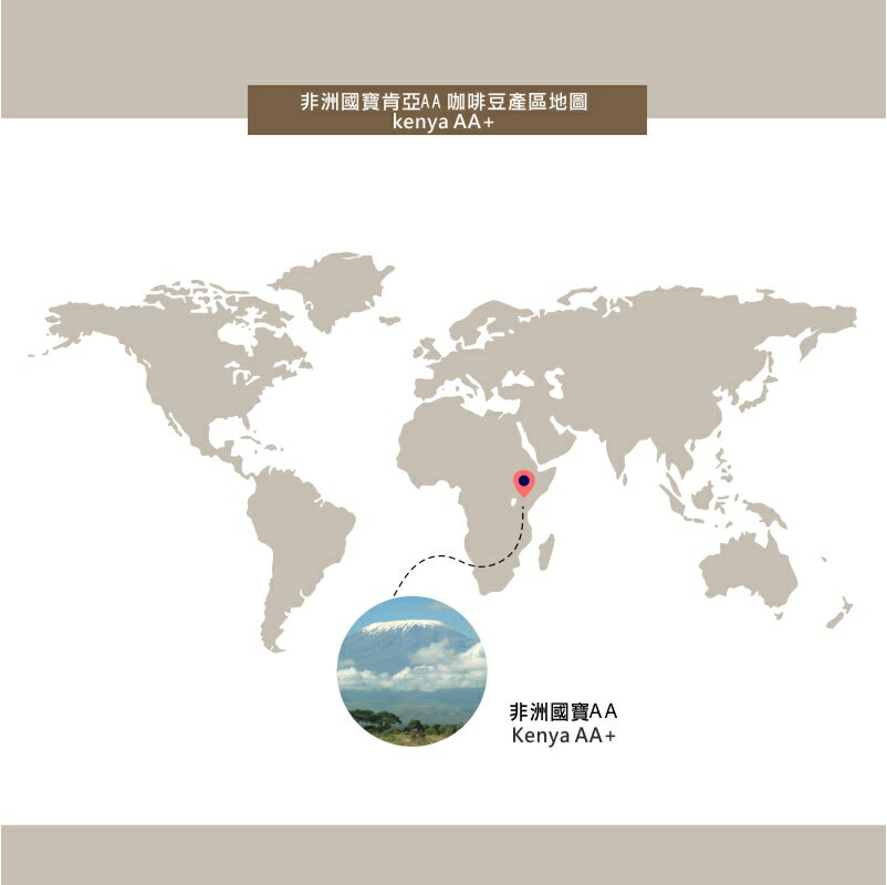 肯亞AA濾掛咖啡 Kenya AA   | DALLYN世界嚴選莊園  ★滿299元超取免運 , 滿1500元店家宅配免運★ 4