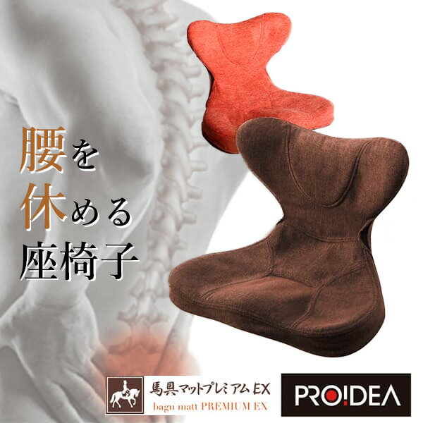 日本代購 PROIDEA 日本製 馬鞍型 正姿 坐墊 腰部 支撐 減壓 椅墊 靠腰墊 靠墊 腰枕 靠背 駝背 美姿