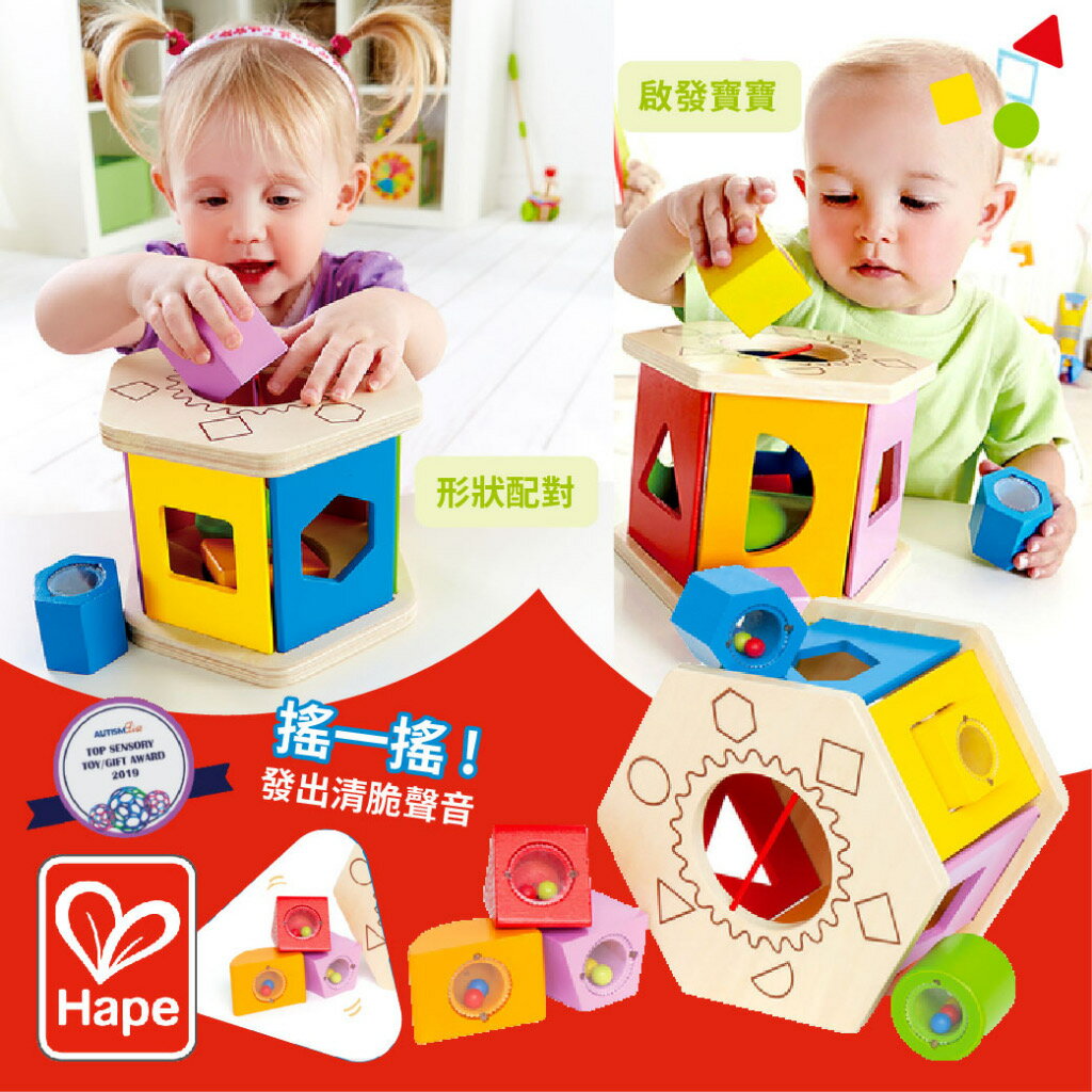 德國 Hape 六角分類積木盒 積木 益智玩具