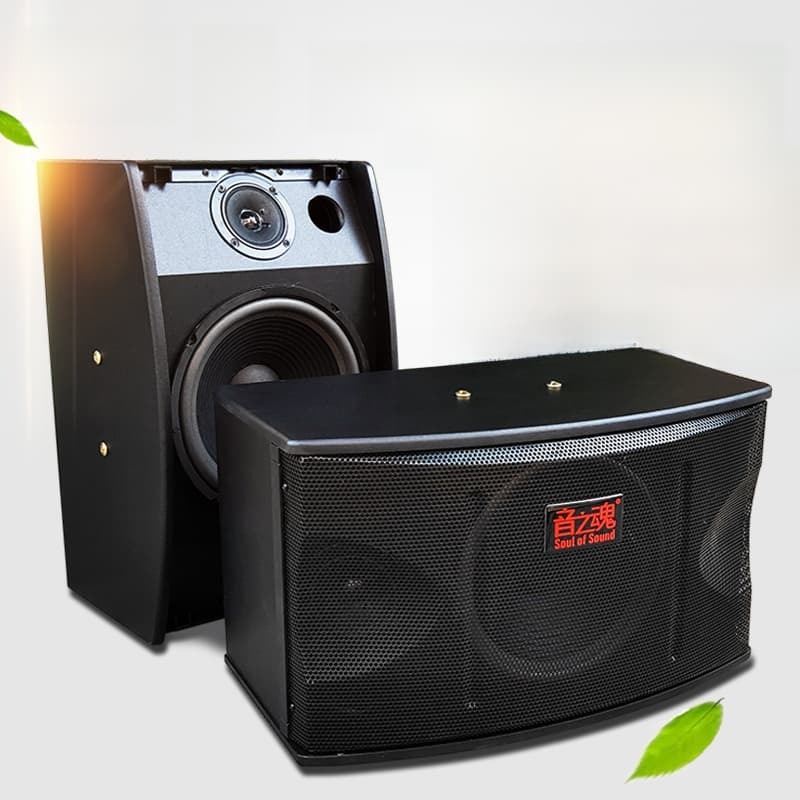 新品上市!!熱門爆品！！8新款寸10寸家庭KTV會議K歌低音掛式ifi音箱卡拉ok家用音響音之魂