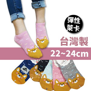 【現貨】日韓系少女襪 台灣製 狗狗.萊卡船型襪 3104 船襪 短襪 兔子媽媽