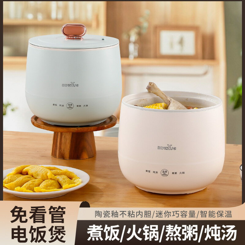 多功能電煮鍋迷你電飯煲煮粥神器電燉鍋養生煲小飯鍋北美臺灣110V【Snowbelle優選】