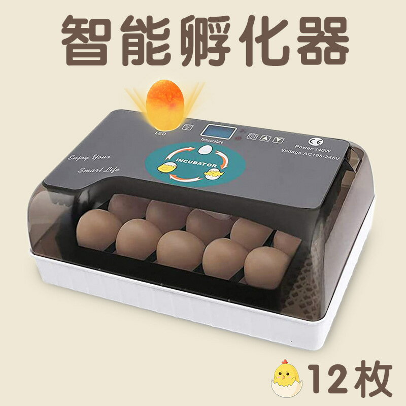 免運 開發票 全自動家用智能小雞孵化小型孵化器12枚雞蛋孵蛋器鴿子鵪鶉孵化機
