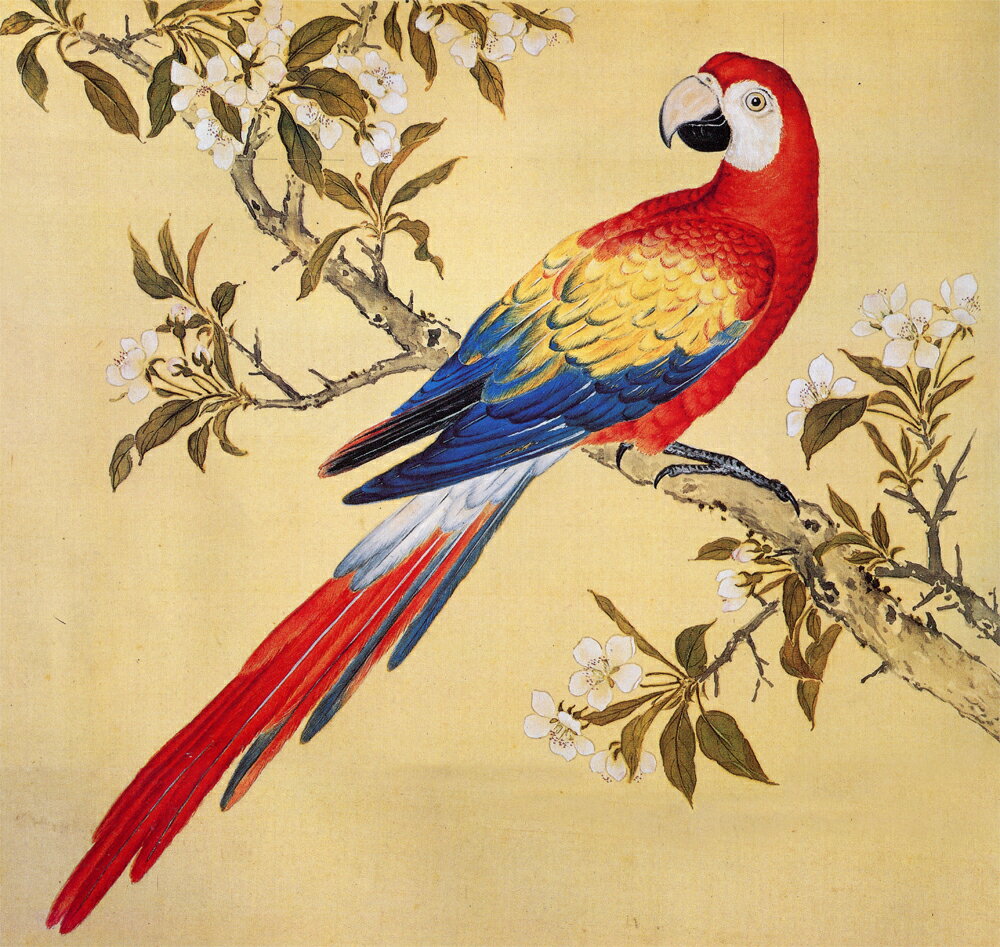 故宮鳥譜044鳳凰鸚鵡仿古畫復制名人字畫名家書畫29X32花鳥畫小品