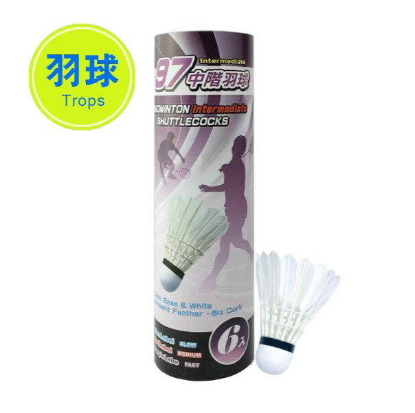 【成功】 紫標中階羽球(6入) # 45097