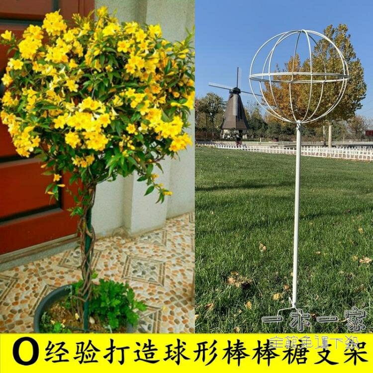爬藤花架 鐵線蓮風車茉莉月季棒棒糖支架鐵藝球形花園花架爬藤架子攀爬架子 1