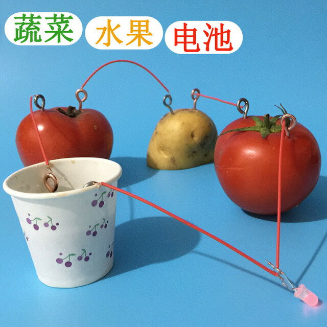 科學實驗材料蔬菜可樂水果電池科技小製作小發明diy套裝 廢物利用