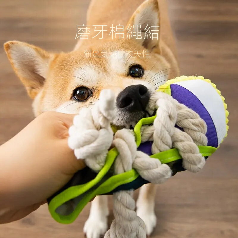 寵物玩具 狗狗拖鞋玩具 發聲自海解悶玩具 磨牙耐咬貓咪玩具 泰迪金毛寵物磨牙玩具 寵物玩具繩結【不二雜貨】