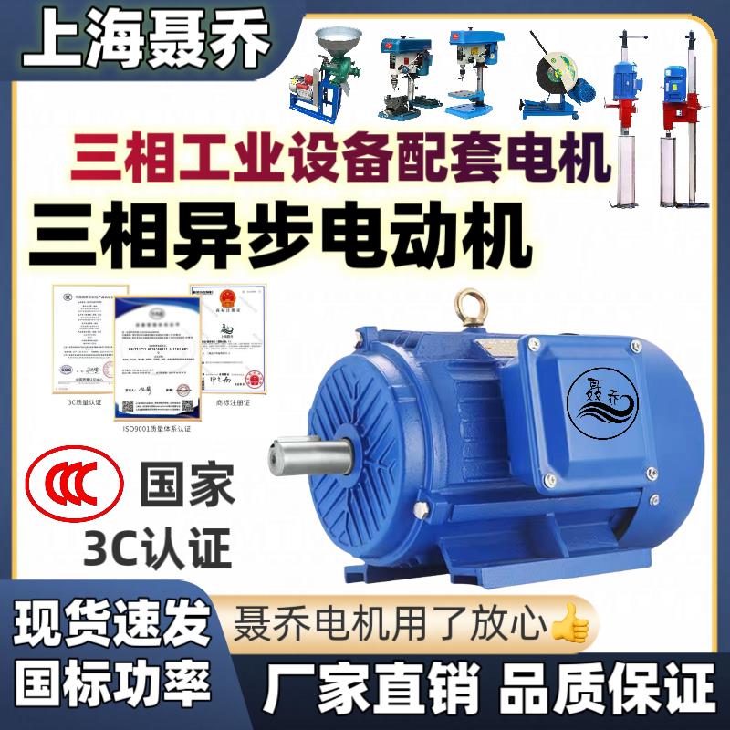 【臺灣公司 超低價】上海聶喬三相純銅380V電機電動機國標大功率馬達工業裝置配套電機