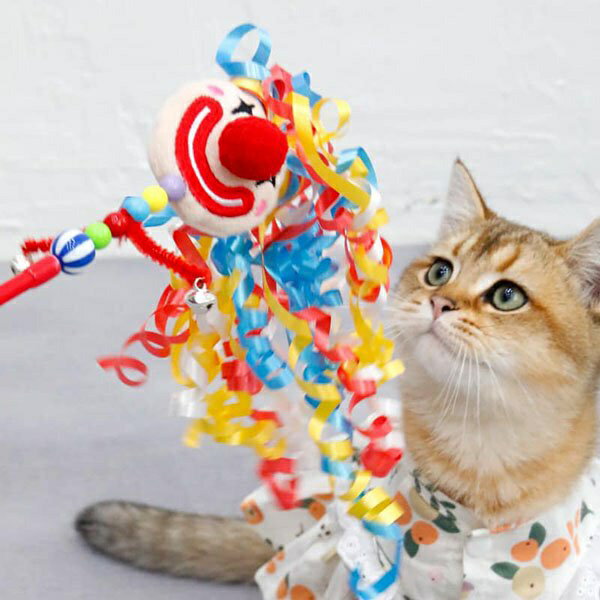 『台灣x現貨秒出』小丑爆炸頭造型逗貓棒 逗貓玩具 貓貓玩具 貓咪玩具 貓玩具