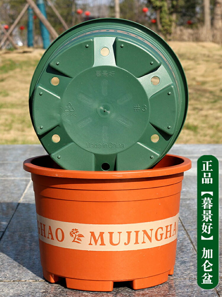 新款加厚二代矮胖加侖花盆塑膠綠蘿月季多肉陽臺家用大號樹脂盆栽/花盆/綠植盆/養植盆/養花盆/陶瓷盆/塑料盆