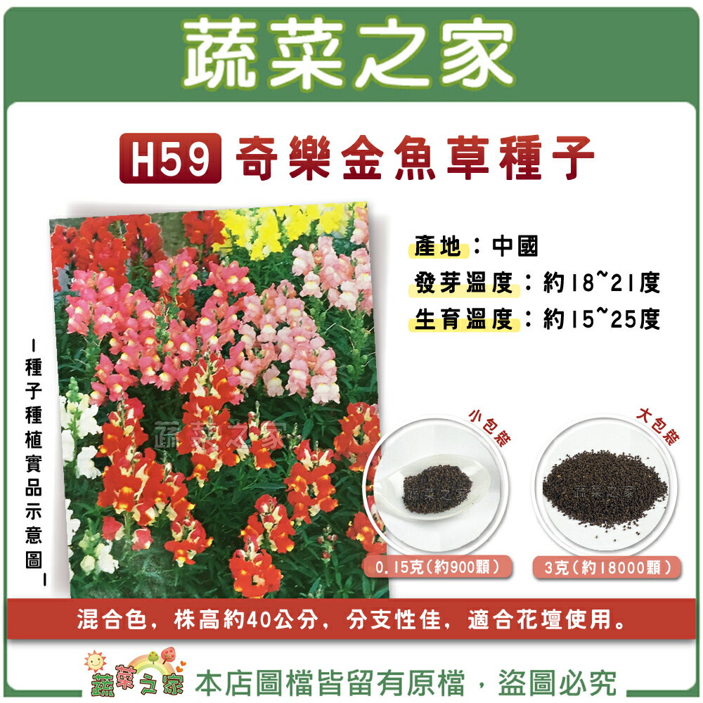 【蔬菜之家】H59.奇樂金魚草種子(共兩種包裝可選)