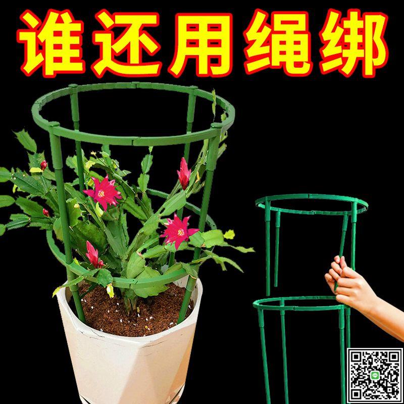 花架子室內家用蟹爪蘭花架支架桿支撐圈客廳花盆架花瓶支架支撐桿-UM.有米家居