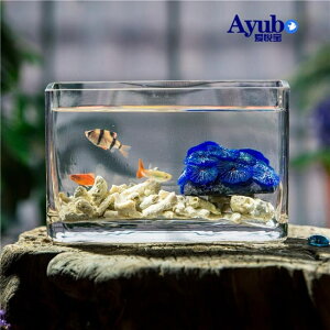 玻璃魚缸長方形創意水族箱迷你小型辦公室桌面觀賞造景透明魚缸 交換禮物全館免運