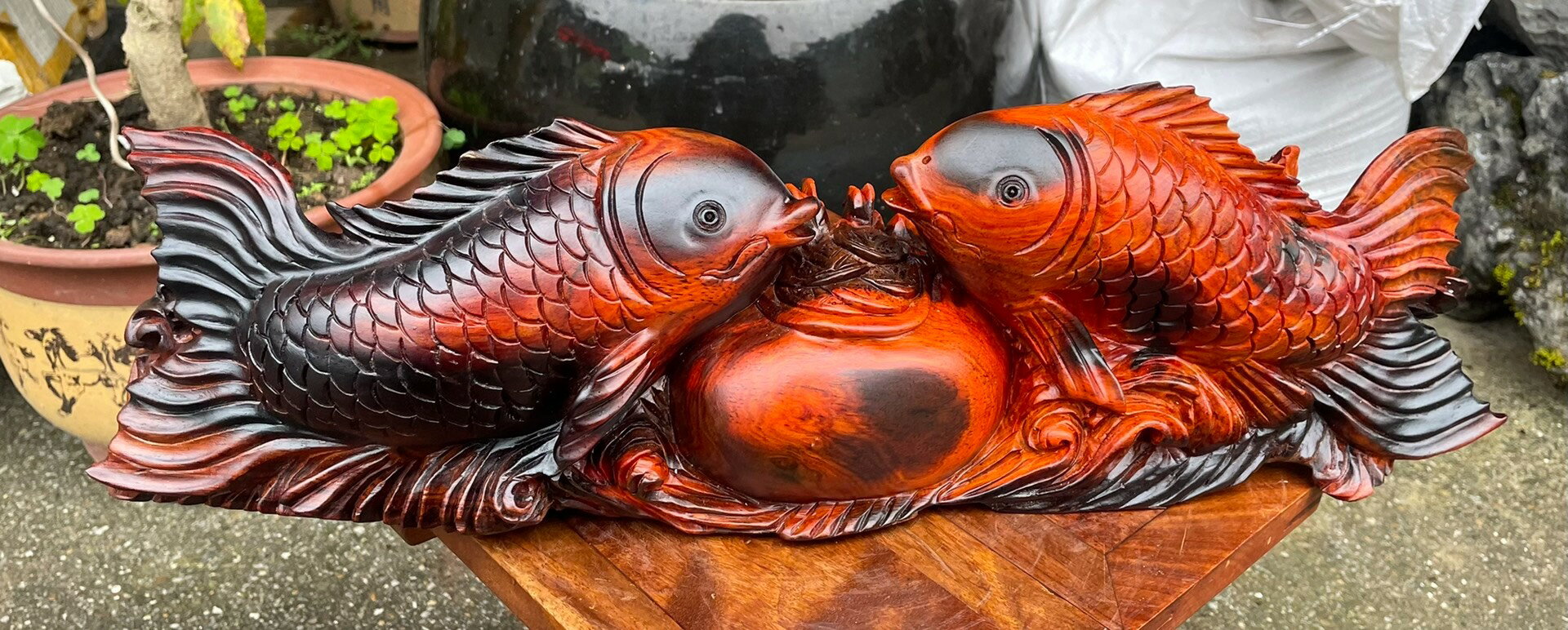 手工雕刻 大紅酸枝紅木鯉魚擺飾 酸枝木鯉魚聚寶盆