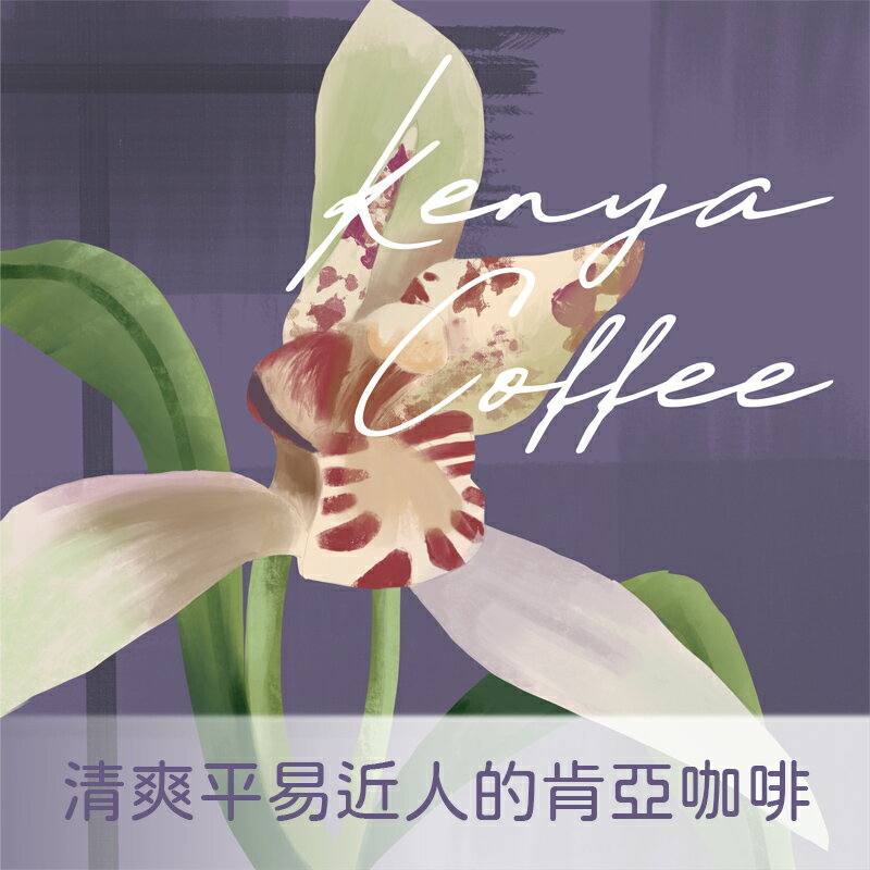 肯亞  南迪  標準 圓豆【Nikkoffee日光咖啡】 0