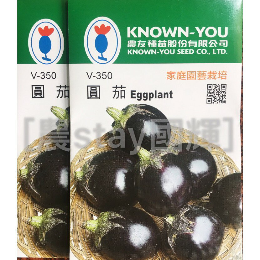 【農stay國輝】圓茄種子．茄子種子蔬菜種子《農友品種小包裝20元/包》