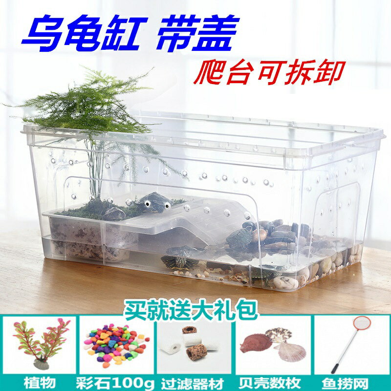 烏龜缸 烏龜飼養箱 塑料小烏龜缸帶曬台造景小型寵物龜專用缸生態缸巴西龜飼養箱帶蓋『cyd7994』