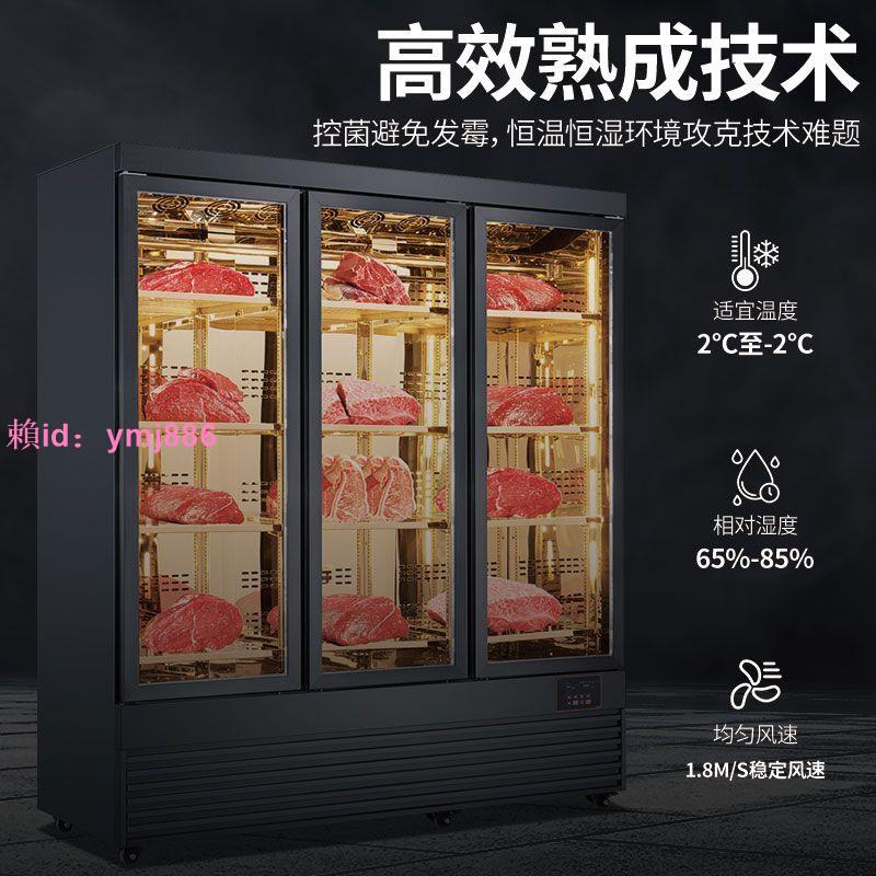星騁干式牛肉柜熟成柜西廚高端商用恒溫恒濕排酸柜牛排保鮮展示柜