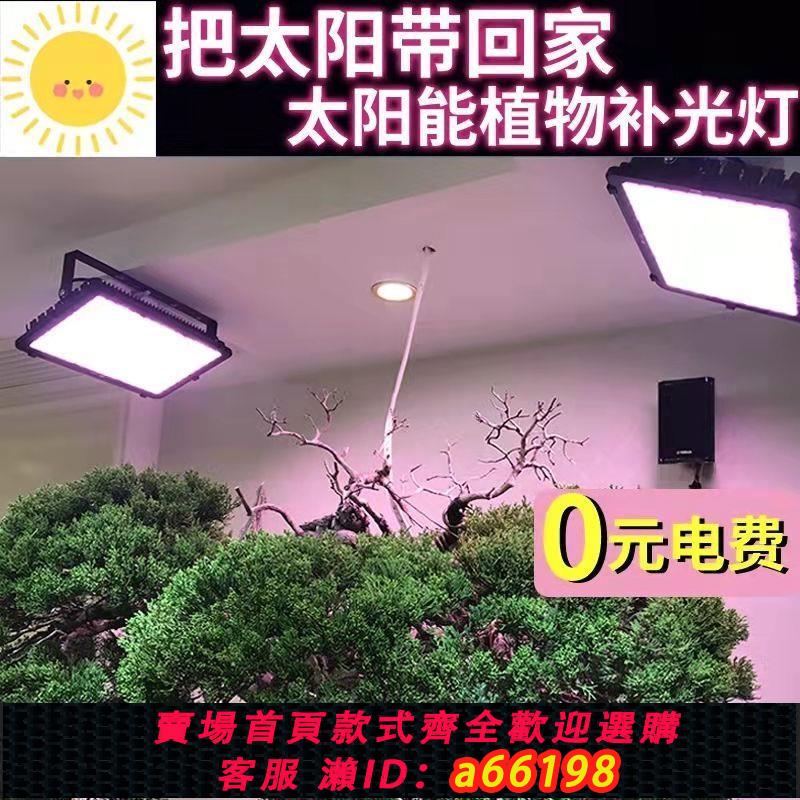 【臺灣公司 可開發票】太陽能補光燈家用led大功率加熱款大棚蔬菜葡萄花卉全光譜植物燈