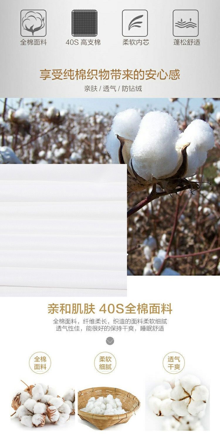 【滿500出貨】【160X50飽滿型下標】動漫等身抱枕 枕芯 各種尺寸皆可訂製 抱枕心 枕心 動漫抱枕芯 抱枕芯 羽絨棉 6
