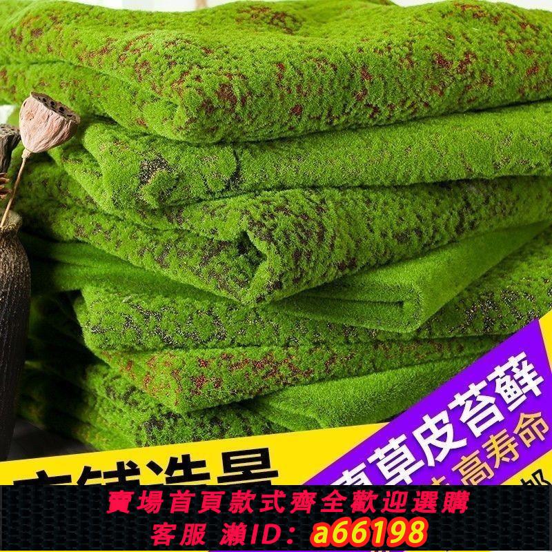 【臺灣公司 可開發票】模擬苔蘚草坪仿生造假景觀盆景造景裝飾佈置草皮青苔植物盆栽鋪面