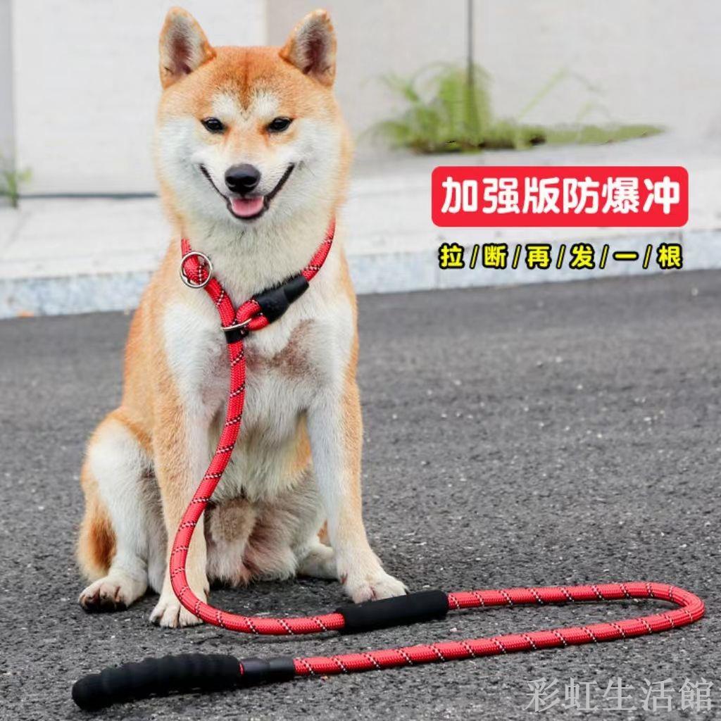 加長狗狗牽引繩狗繩狗拉繩遛狗泰迪金毛寵物大型中型小型犬狗鏈子